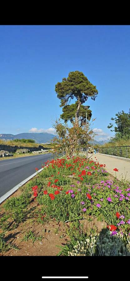 Villa Donatella Paestum Zewnętrze zdjęcie