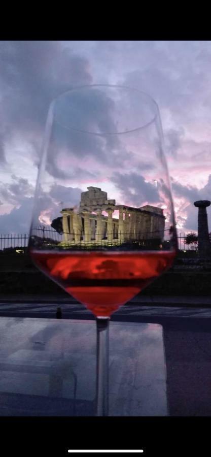 Villa Donatella Paestum Zewnętrze zdjęcie